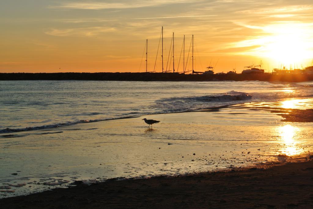 Hotel Les Palmiers En Camargue Saintes-Maries-de-la-Mer Phòng bức ảnh