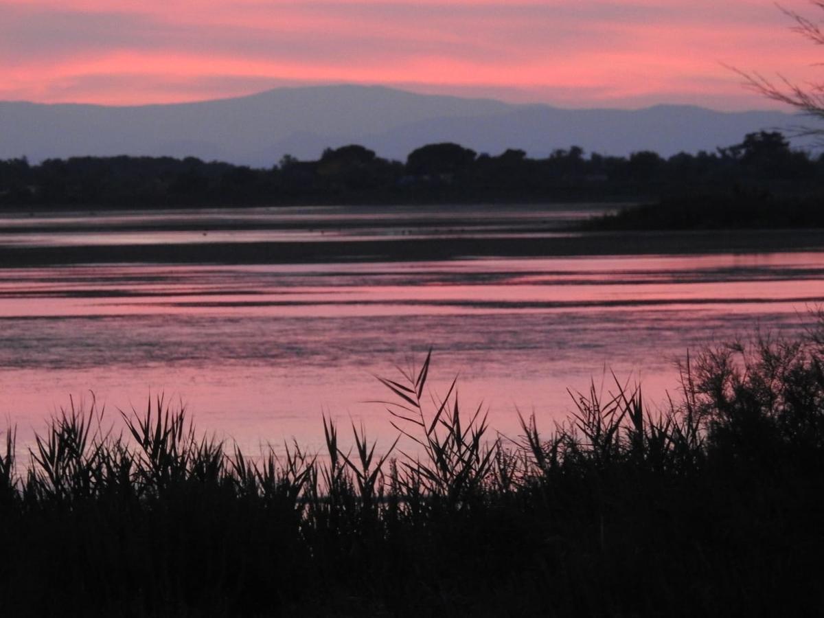 Hotel Les Palmiers En Camargue Saintes-Maries-de-la-Mer Ngoại thất bức ảnh