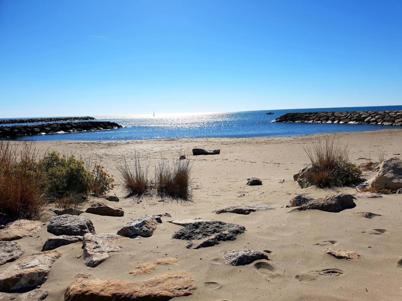 Hotel Les Palmiers En Camargue Saintes-Maries-de-la-Mer Ngoại thất bức ảnh